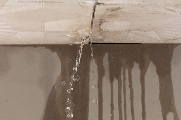 Professional Sewage Cleanup technician working in Christiansburg, VA